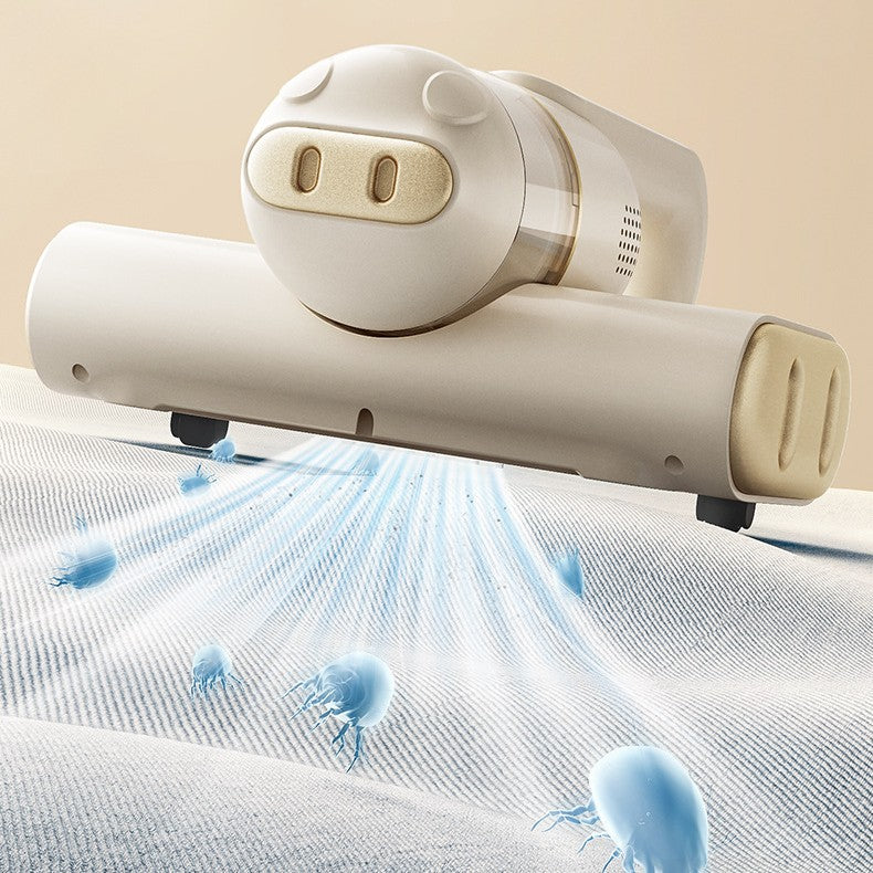 UV Sterilization Of Household Vacuum Cleaners In Bed